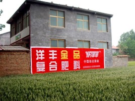 江北如何让墙体广告展现最大化效果