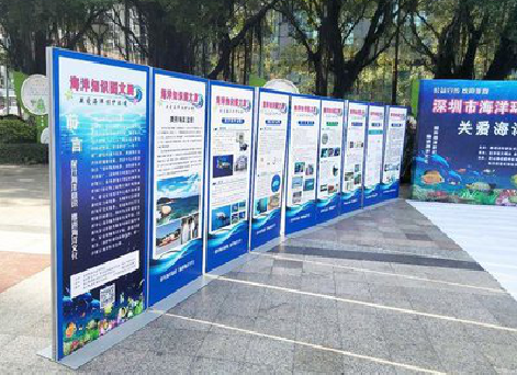 江北KT板的种类和知识。